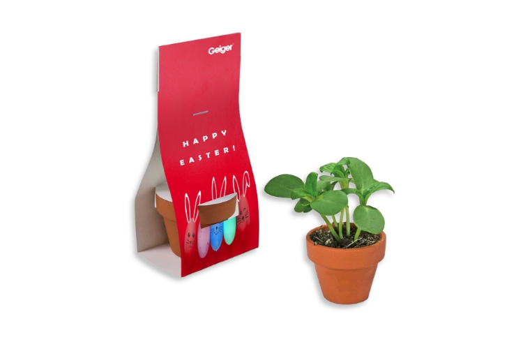 Bild von Kleine Pflanze mit Ostermotiv 
